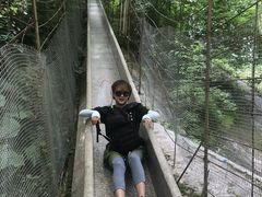 -青峰峡国家森林公园