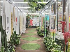-阿妮亚少儿美术书法(望京店)