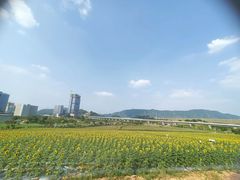 -光明小镇欢乐田园