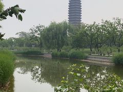 -西海子公园