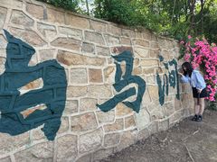 -白马涧龙池景区