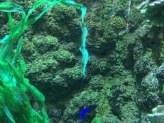 -海合安青岛极地海洋公园