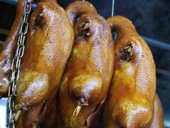 -春梅里卤鹅馆·47年老字号(中山路店)