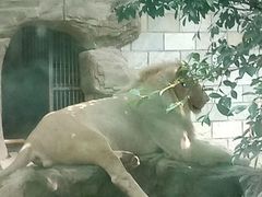 -福州动物园