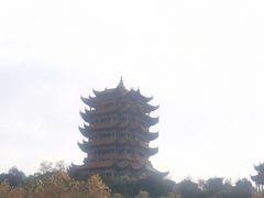 -小凤庭·地道湖北菜武昌鱼·藕汤(38年黄鹤楼店)