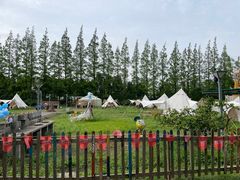 -前小桔亲子创意农场·草莓采摘·露营烧烤