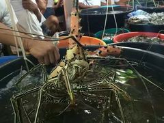 -D'Talipapa