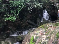 -藏龙百瀑风景区