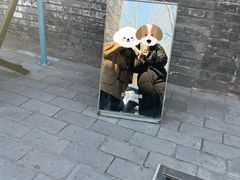 -BE YOLO必有乐&小红帽三明治