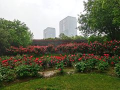 -武汉园博园(武汉自然博物馆)