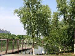 -天鹅湖体育公园