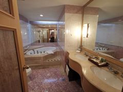 -上海南新雅大酒店