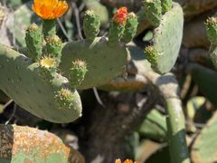 -昆明市金殿名胜区