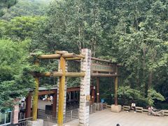 -牛背梁国家森林公园