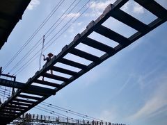 -梦幻奥陶纪景区