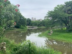 -堤角公园