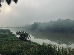 -中国科学院西双版纳热带植物园