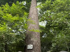 -成都杜甫草堂博物馆