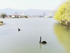 -长兴太湖图影湿地文化园