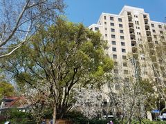 -徐家汇源景区-衡山公园