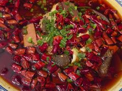 -院8里·少城记忆老川菜(宽窄巷子店)