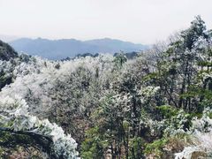 -老界岭旅游度假区