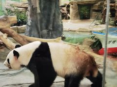 -灵玲国际马戏城