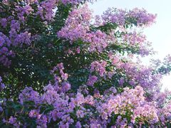 -杭州城北体育公园