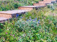 -白草畔自然风景区