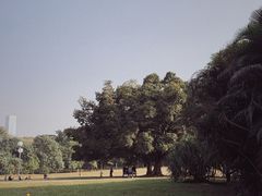 -荔香公园