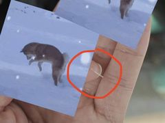 -红旗山庄(圭峰山店)