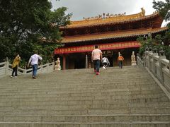 -深圳仙湖植物园-停车场