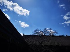 -张学良旧居陈列馆