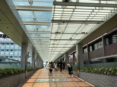 -香港大学