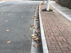 -幕燕滨江·长江观音景区
