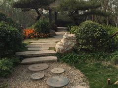 -武清南湖绿博园