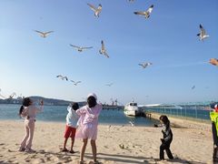 -海驴岛(荣成市)