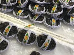 -大湾区中央湿地公园-十九涌