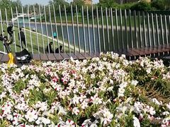 -坝河休闲公园