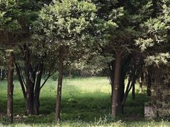 -秦始皇帝陵博物院-丽山园