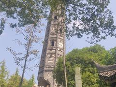 -上海佘山国家森林公园天马山园