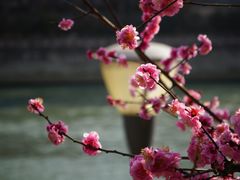 -望江楼公园