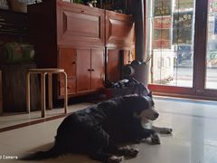 -哈尔滨北方国际青年旅舍(中央大街店)