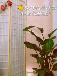 -可樱汇·美容洗发SPA
