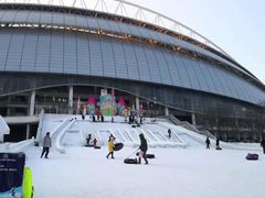 -沈阳奥体冰雪嘉年华