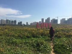 -丁香湖公园