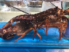 -保定会馆(秀兰店)