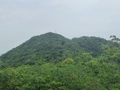 -杭州半山国家森林公园