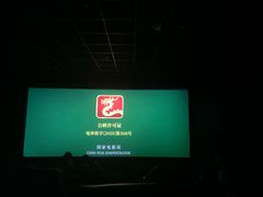 -璇宫国际影城(江汉路店)