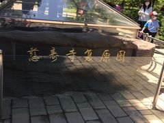 -玲珑塔公园